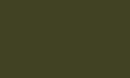 Paintman-Colour-Swatch-Olive-Drab-GREEN-Matt-1
